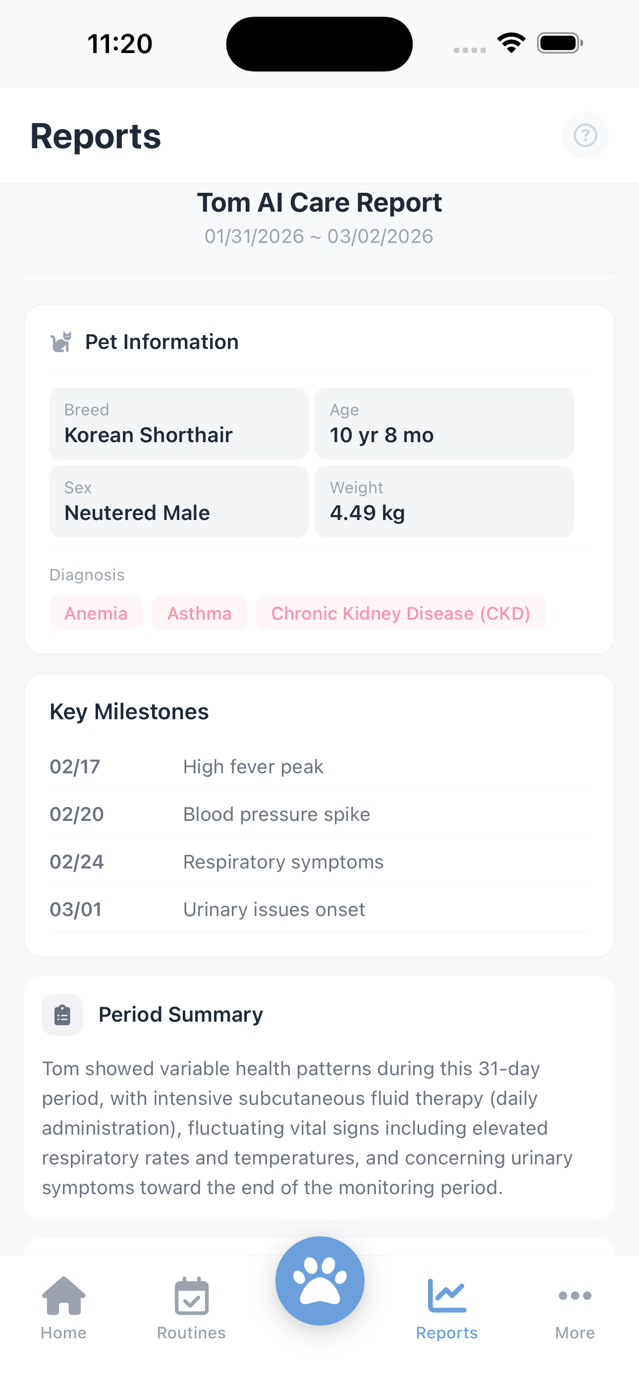 AI Report